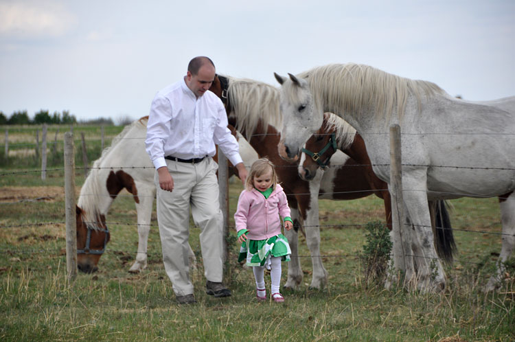 Meeting the horses 6